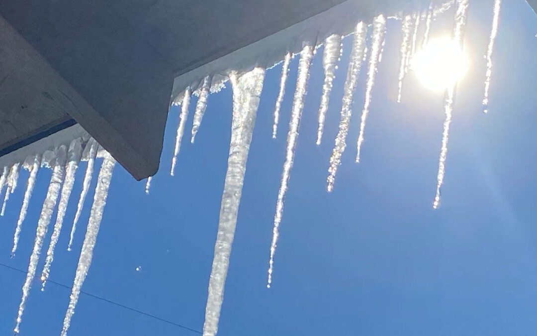 Polar vortex is stirring up. Here’s when Pennsylvania can expect the first frost 2025