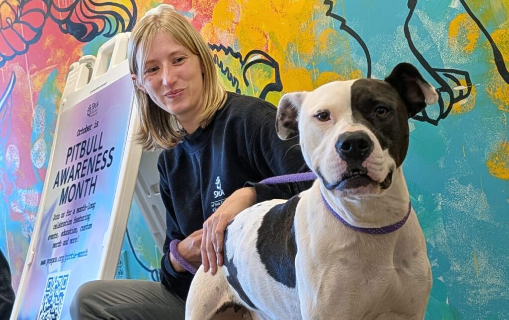 ANIMALS - The Keystone Newsroom