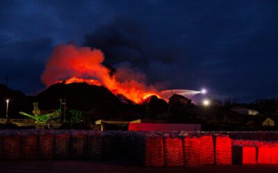Inferno rips through mulch facility near Spring Grove on Sunday as high winds fan flames