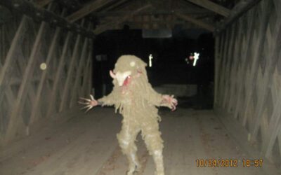 What was the mythical creature said to have stalked Erie County in the 1970s?