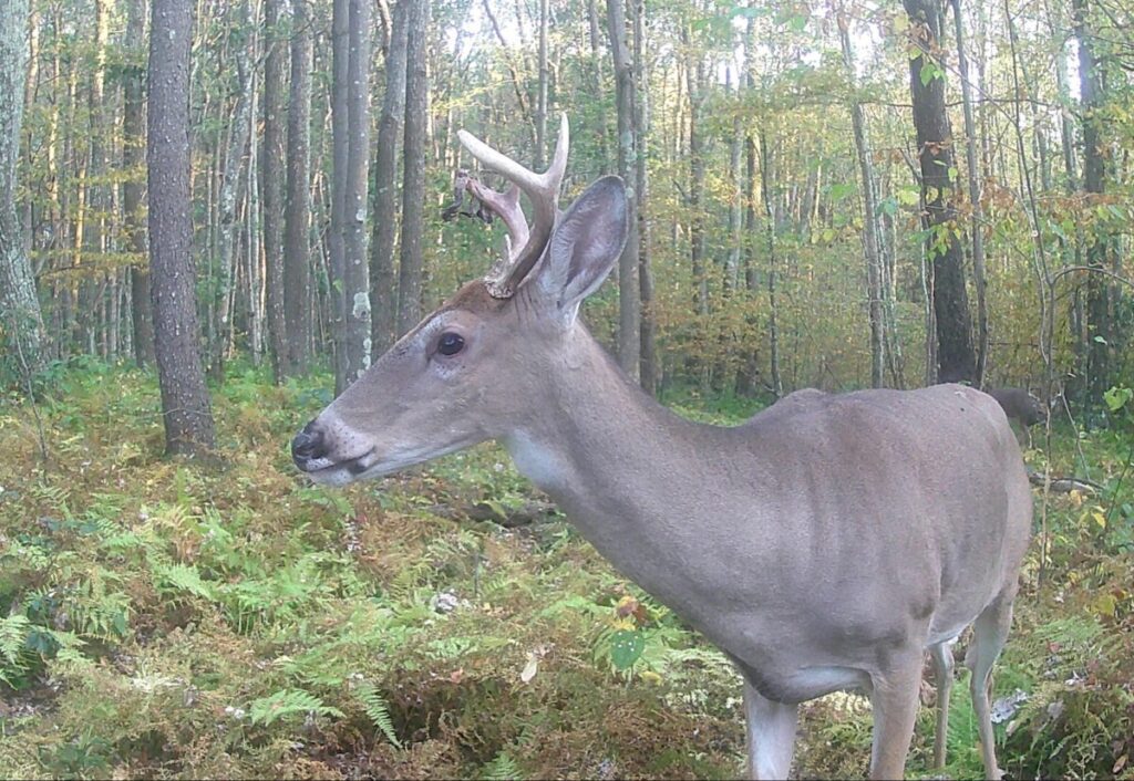 OUTDOORS - The Keystone Newsroom