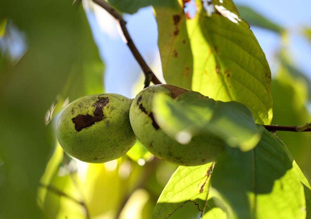 PENNSYLVANIA NEWS - The Keystone Newsroom