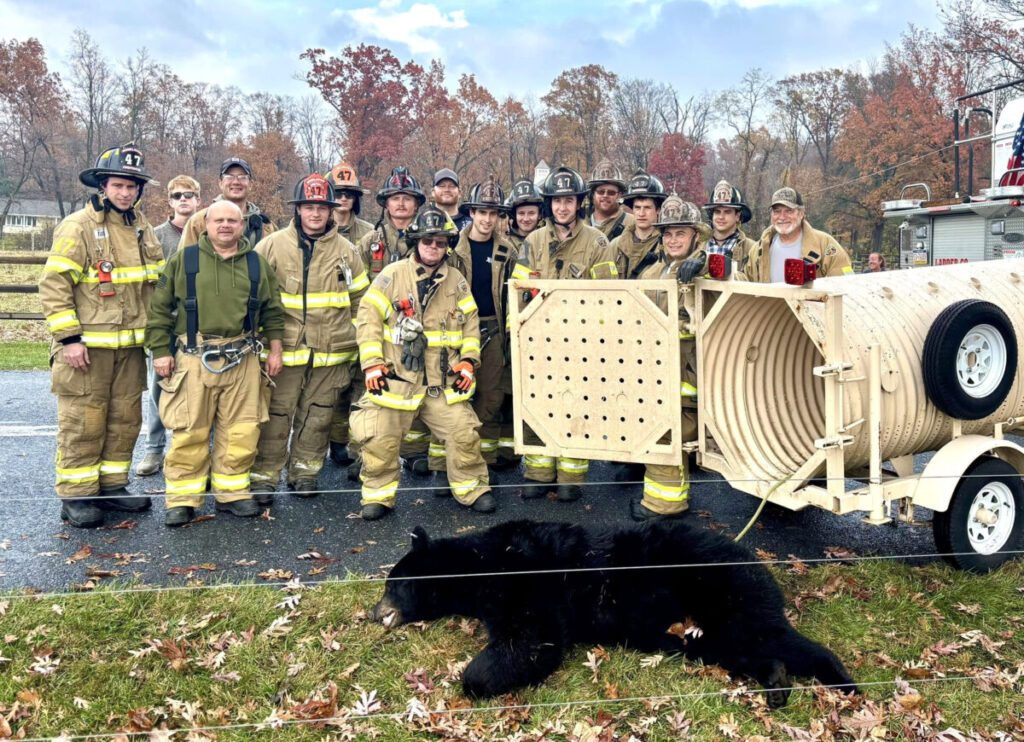 ANIMALS - The Keystone Newsroom