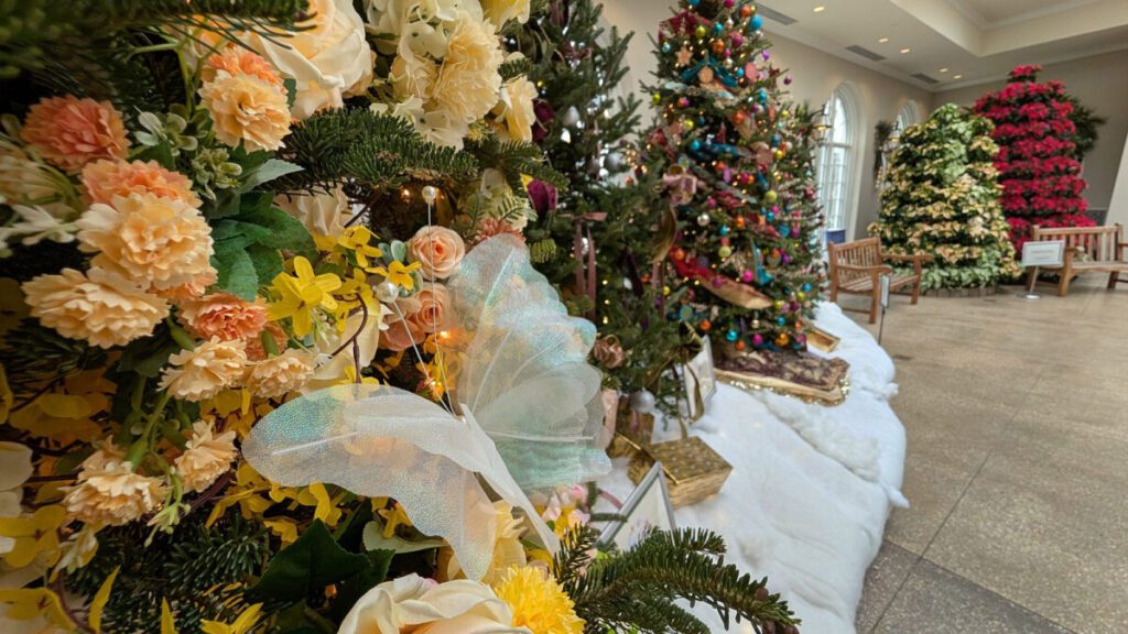 The Christmas Tree Showcase opens in the Milton & Catherine Hershey Conservatory at Hershey Gardens Nov. 20.