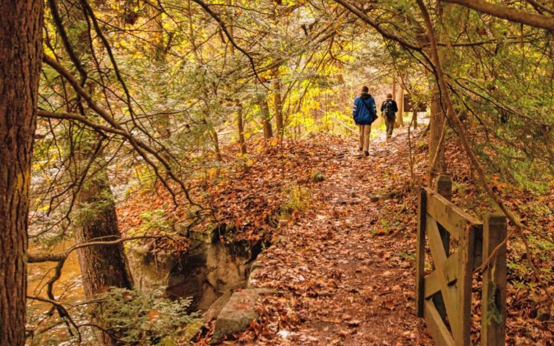 7 best spots for fall hiking in Pennsylvania