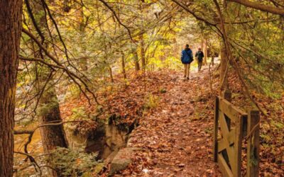 7 best spots for fall hiking in Pennsylvania