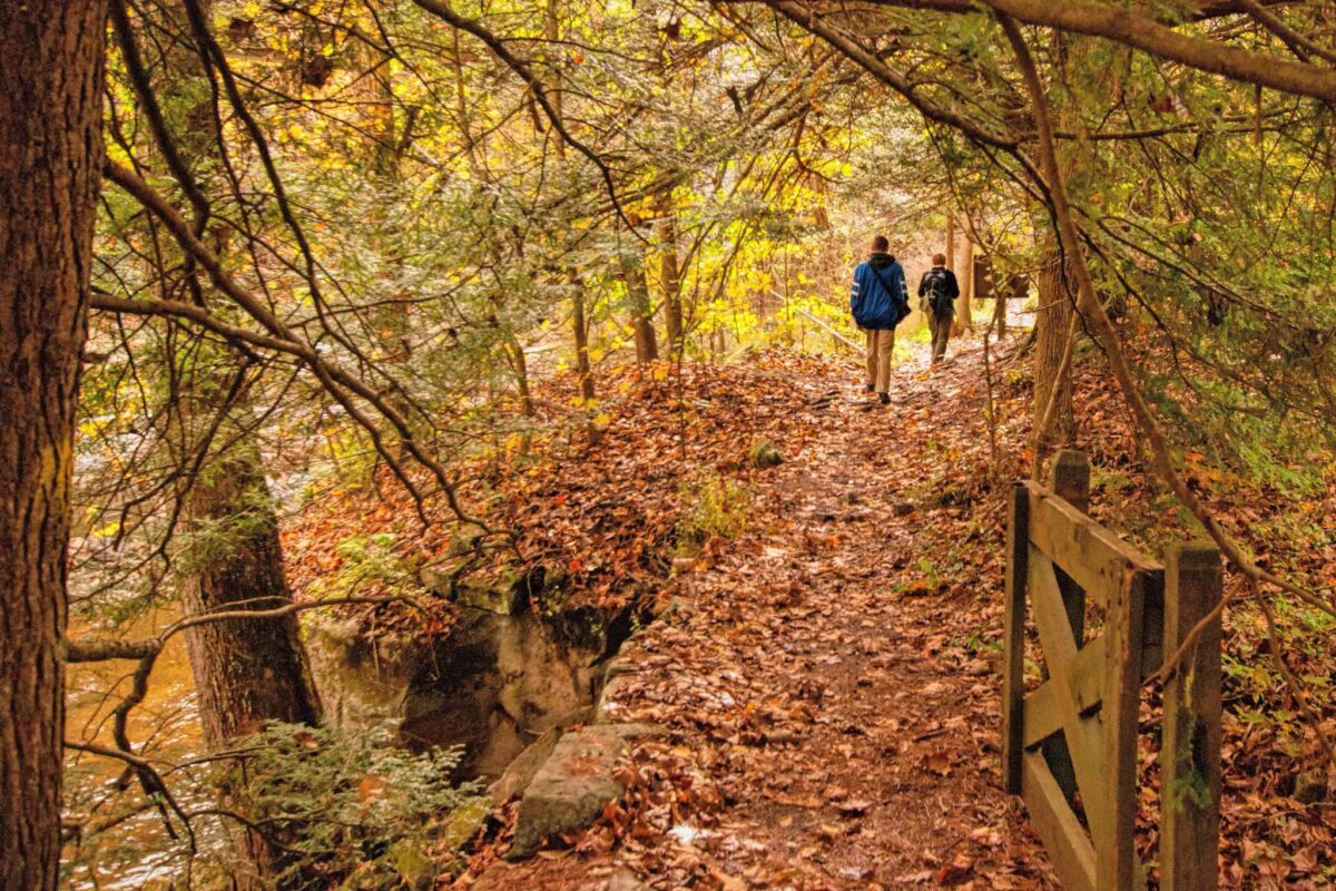 7 best spots for fall hiking in Pennsylvania