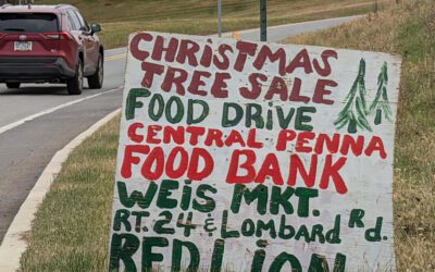 The fascinating story behind these iconic York County tree sale signs