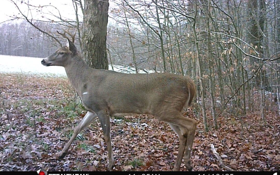5 hunters shot, including 2 fatalities, during Pennsylvania deer season