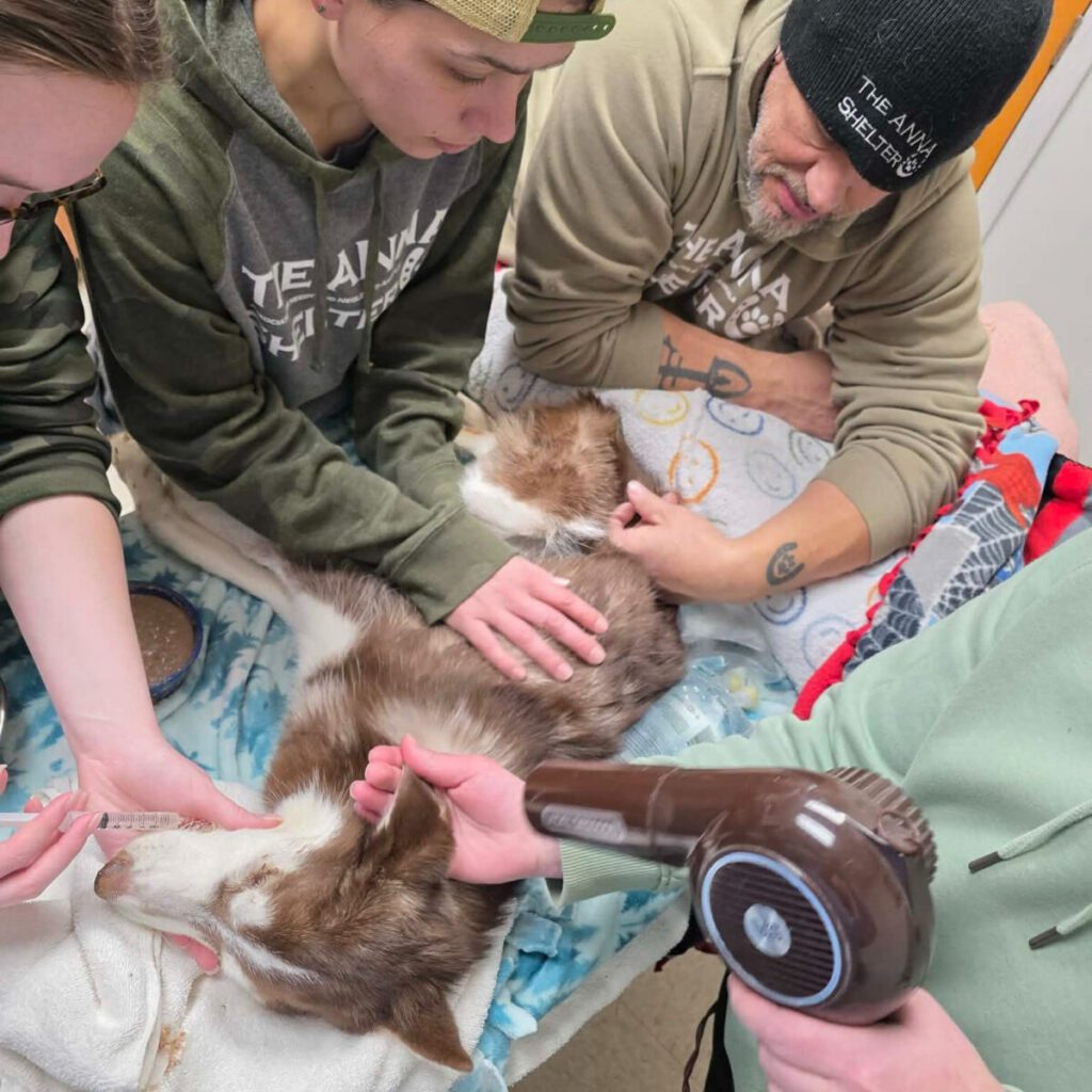 HARDGATE - The Keystone Newsroom