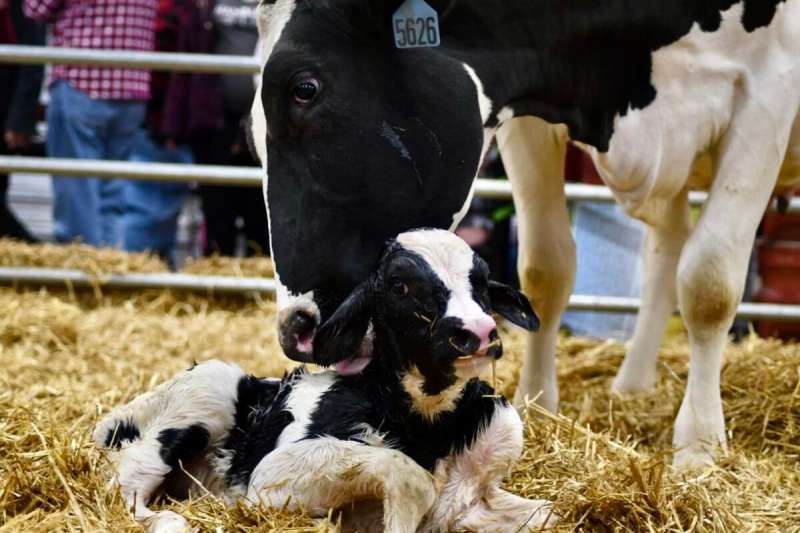 A Pennsylvania Farm Show preview