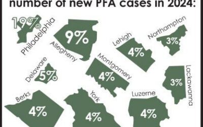Pa. lawmakers eye stricter PFA penalties, raising gun rights concerns