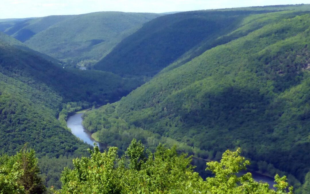 Here’s why Pine Creek Rail Trail is Pa.’s 2026 Trail of the Year