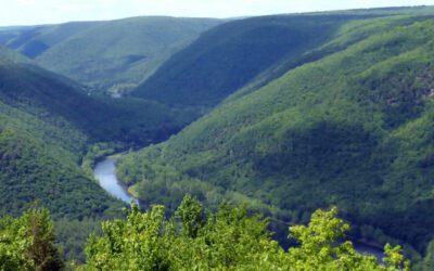 Here’s why Pine Creek Rail Trail is Pa.’s 2026 Trail of the Year