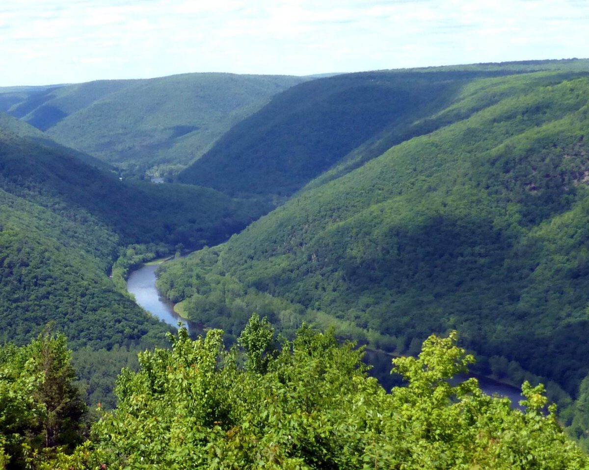 Here’s why Pine Creek Rail Trail is Pa.’s 2026 Trail of the Year