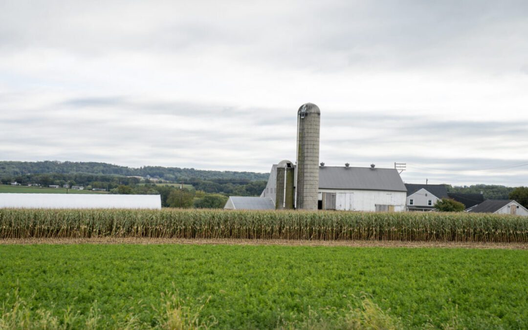 Pa. small businesses cheer U.S. Supreme Court tariffs decision, but still face uncertainty