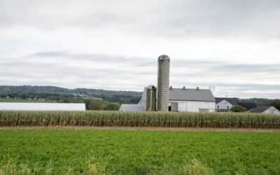 Pa. small businesses cheer U.S. Supreme Court tariffs decision, but still face uncertainty