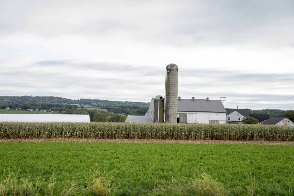 Some $126 billion has been paid by Americans since the tariffs were imposed, including a $4 billion cost for Pennsylvanians.