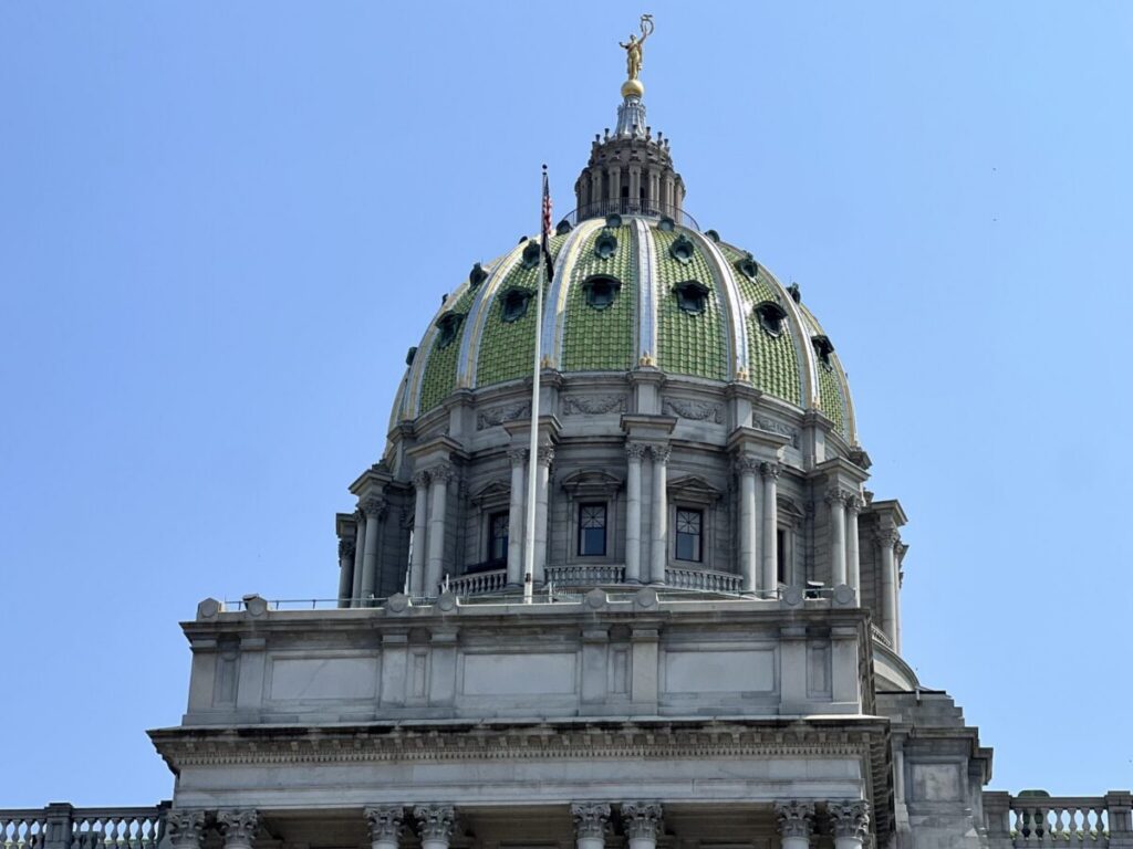 Under a new proposal in the state House, pet stores in Pennsylvania would be barred from selling animals from large-scale breeders, described by critics as puppy mills, where dogs kept for breeding often endure years of inhumane treatment.
