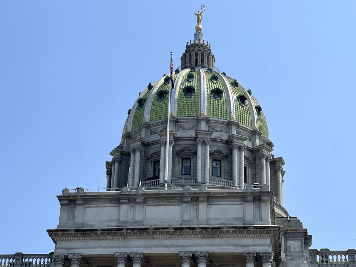 Under a new proposal in the state House, pet stores in Pennsylvania would be barred from selling animals from large-scale breeders, described by critics as puppy mills, where dogs kept for breeding often endure years of inhumane treatment.