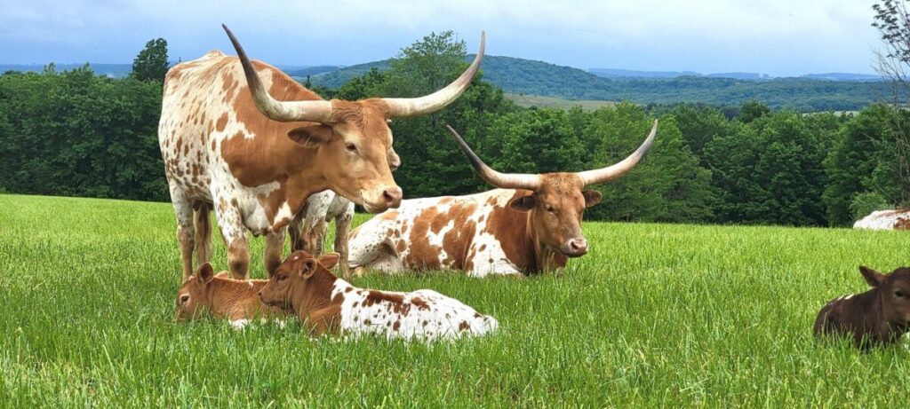 COMMUNITY - The Keystone Newsroom