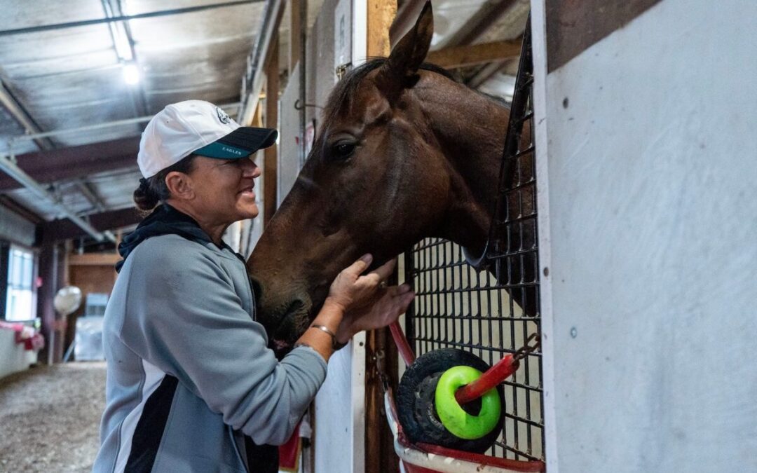 See births of thoroughbred horses via Bucks County’s live ‘foal cams’