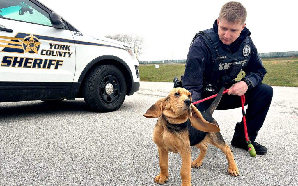 PENNSYLVANIA LAW - The Keystone Newsroom