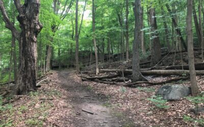 Planning a group getaway? These cabins in the Poconos have you covered