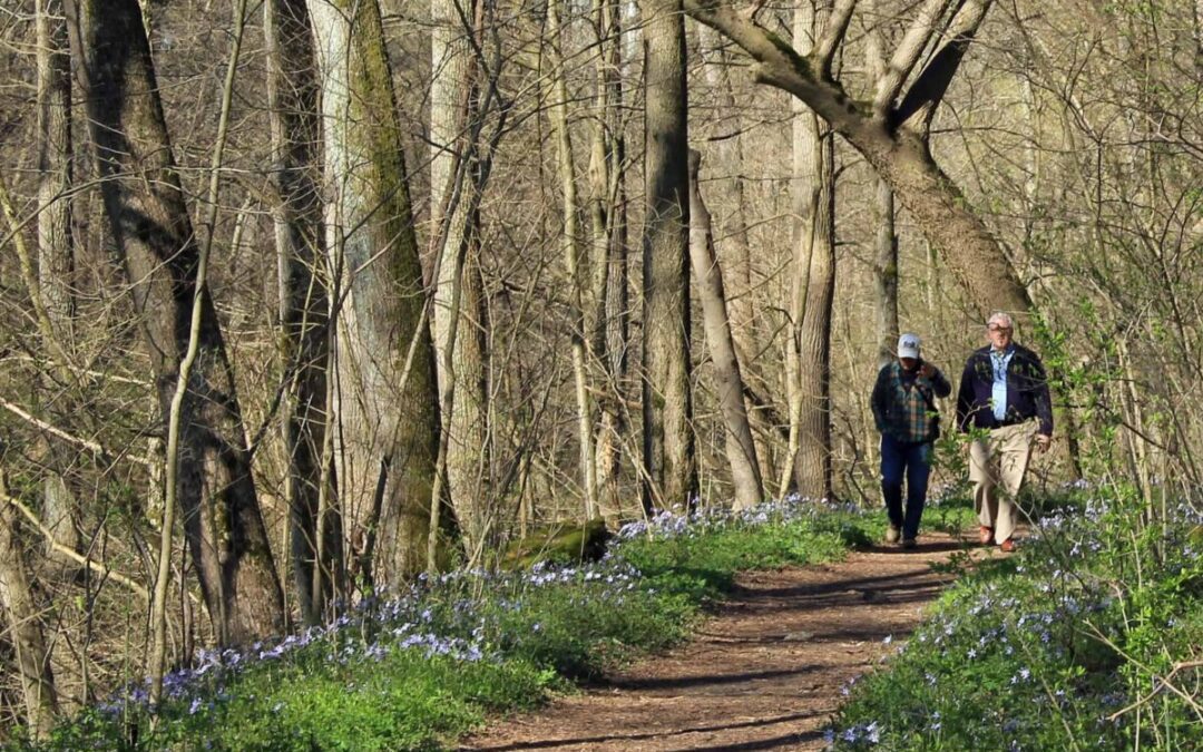 2026 Pennsylvania wildflower season: What to know & where to go