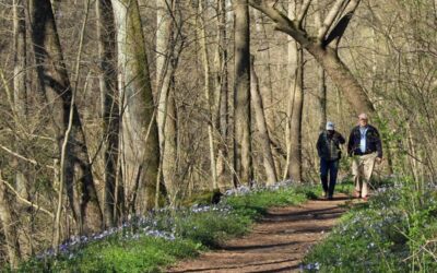 2026 Pennsylvania wildflower season: What to know & where to go