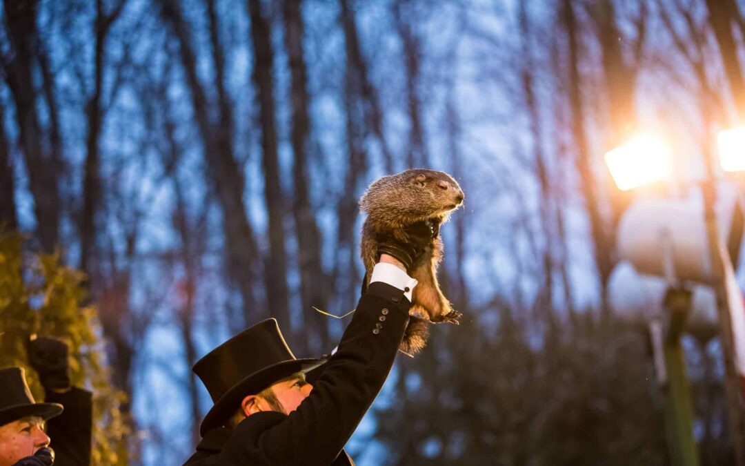 Get to know Pennsylvania’s viral animal stars