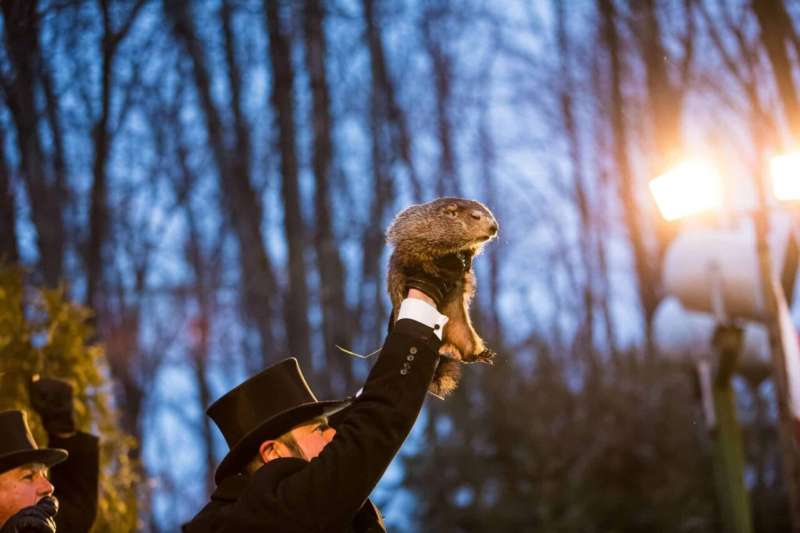Animals have always lived alongside us, from the pets in our homes to the wildlife just outside our doors.