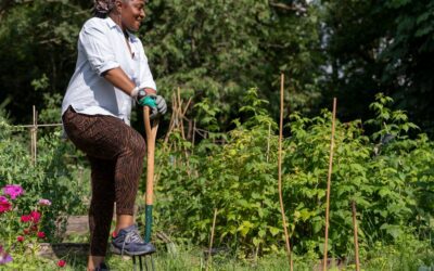 Over the Garden Gate: A few to-dos to save Pennsylvania gardeners summer headaches