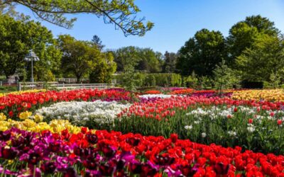 Spring events in Pennsylvania that are worth traveling to