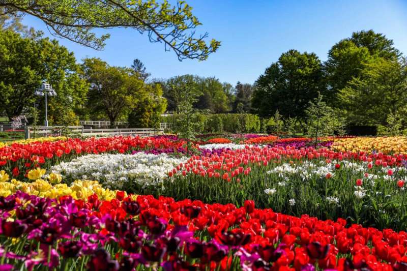 As wildflowers and gardens bloom across the state, Pennsylvania’s vibrant festival season kicks off, baseball fans hold onto hope, and communities recognize shared heritage through annual traditions.