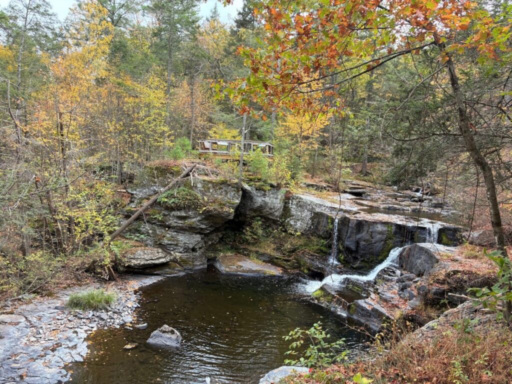 HARDGATE - The Keystone Newsroom