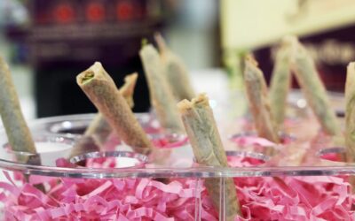 What must happen before Pennsylvania joins 24 states with legal cannabis?