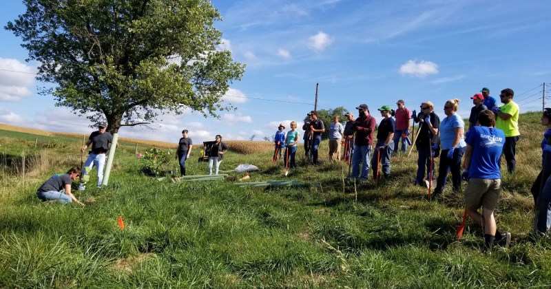 Planting the milestone tree in Hummelstown reflects work communities across Pennsylvania have done to improve green spaces, recognize the importance of trees and replace lost trees.