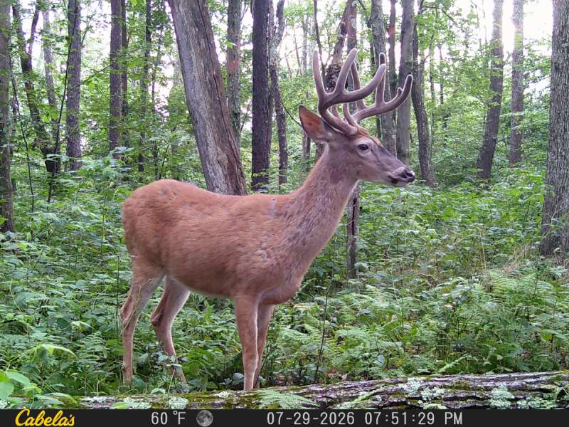 hunting season