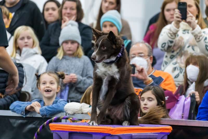 10 things to do in Pa. this November