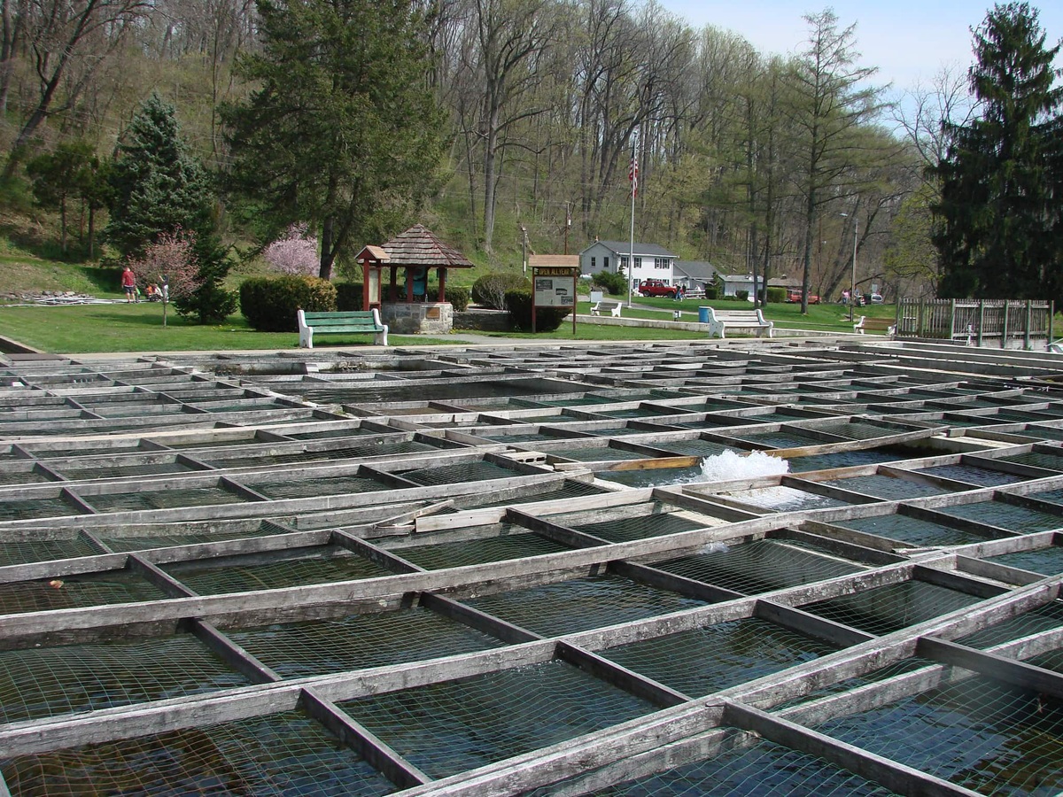 Things to do with kids in Lehigh Valley